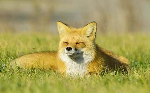 ���˲���ĺ���ְ֡�����У�ͨ��33ƪ��