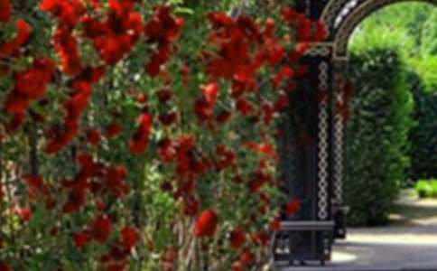 【热门】花园写景的作文汇总十篇