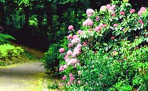 ���ڻ�԰д�������Ļ�����ƪ