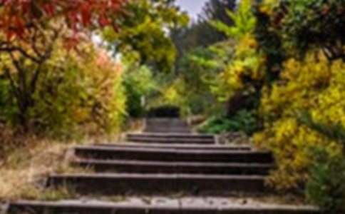 [��]�����˵Ļ�԰����ѧ��˼