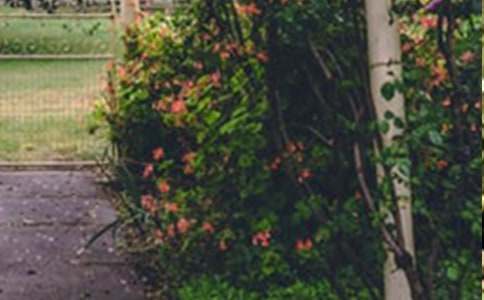 巨人的花园说课稿范文汇编10篇