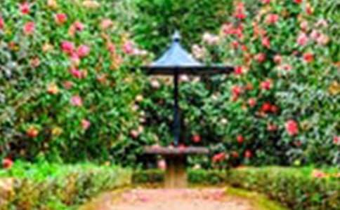 ���ڻ�԰д�������ĺϼ�ʮƪ