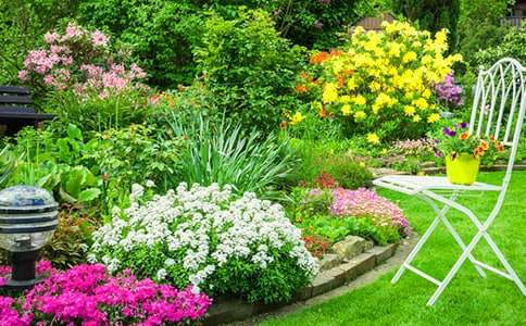 花园写景的作文300字汇总九篇