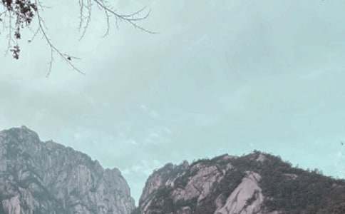 ��ɽд������400�ֻ��10ƪ