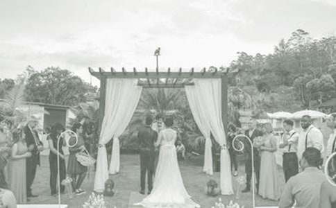 ���������´Ƿ���(���15ƪ)