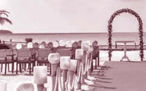 ����Ů�������´�(ͨ��15ƪ)