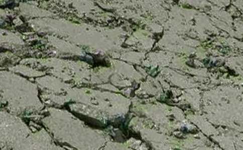 �����������ܽ�