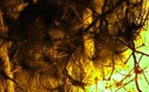 (热)火灾的通报9篇