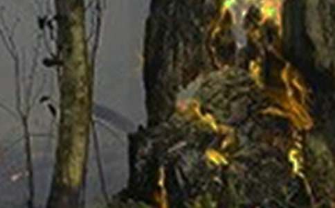 2022�����򶬴����ַ��ع�������