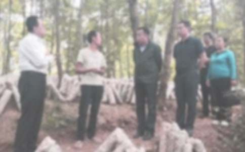 �ͼ첿�����ƻ����ļ���8ƪ