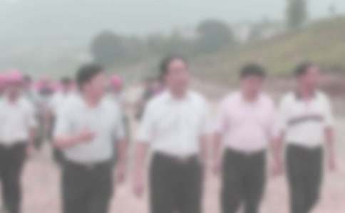 �ͼ첿�����ƻ�(15ƪ)