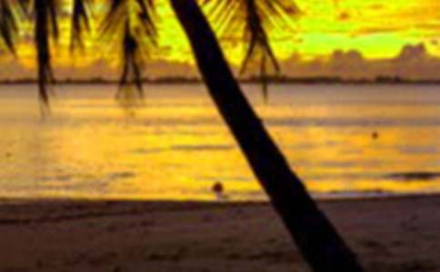 ���ڵ�һ��������600��9ƪ