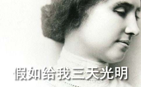 �����������������и�