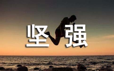 ��ǿ��������