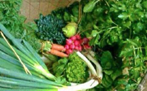 ���ڽ��������ƻ�ģ��ϼ���ƪ