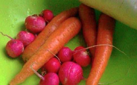 �����˽������������ƻ�