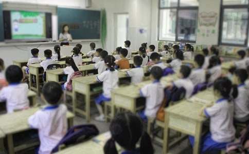 ������ȤС���ѧ�ƻ�