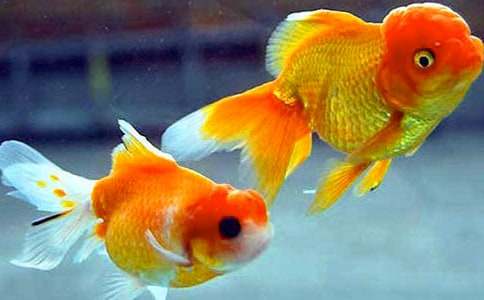 �������ϵĽ��㼧���ۺ�У���ѡ19ƪ��