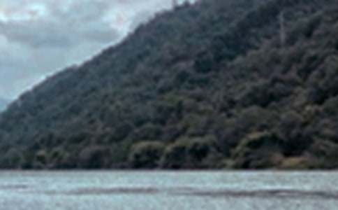 ��д��ɫ�����ľ�ѡ15ƪ