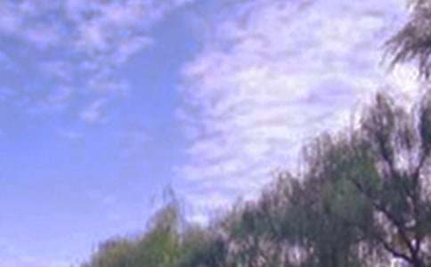 д��ɫ�����ġ�����3ƪ��