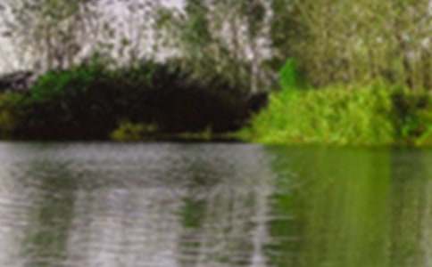 ��ɫд������(��ѡ15ƪ)