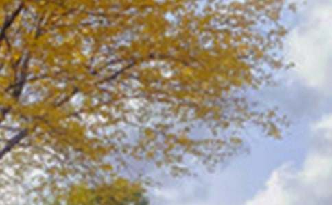 д��ɫСѧ����