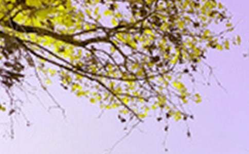 ��д��ɫ������(�ϼ�15ƪ)