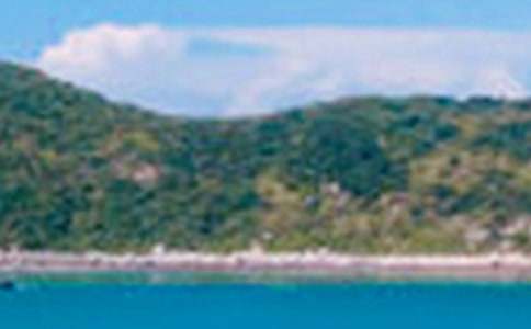 Сѧд��ɫ�����ľ�ѡ(3ƪ)