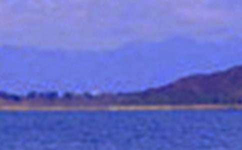 д��ɫ������(����)