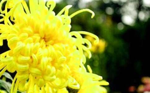 �����ռǾջ�����4ƪ