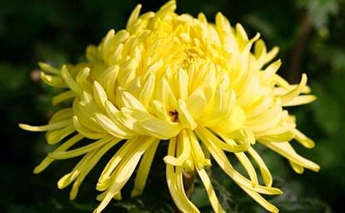 �����ջ���˵�θ�4ƪ