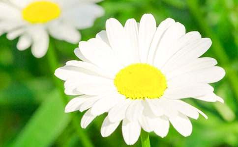 �����ռǾջ�����8ƪ