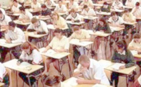 ���ڳ��ſ��Ե��ݽ���