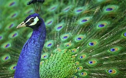 ��ȸ���Ϸɶ����