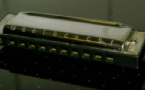 Сѧ���꼶������ɫ��ѧ�ƻ�