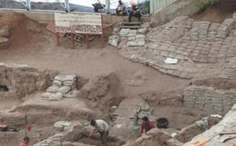 ���ҵĿ��ֵܡ��ۺ��