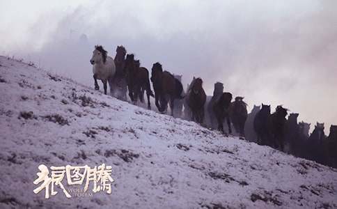 ��ͼ�ڹۺ��ͨ��15ƪ