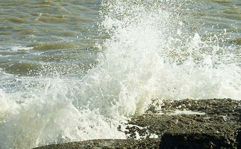 生活中的一朵浪花记叙文