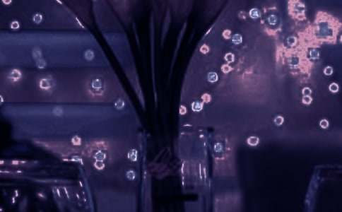 ������������ޡ������