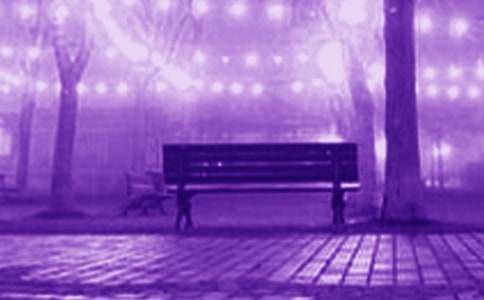 ����������޶����