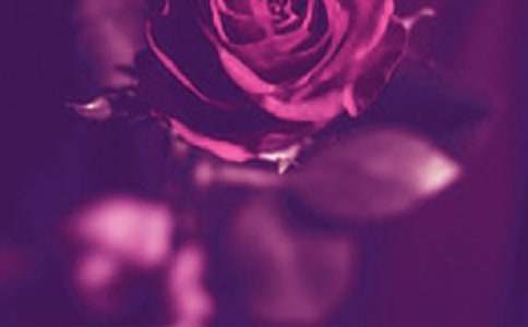 ����������޶����15ƪ