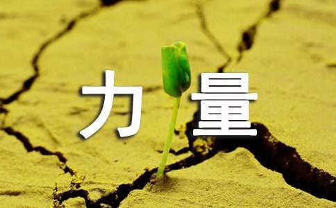 ���ҳϵ�����������Ʒչʾ��Ŀ���ۺ��