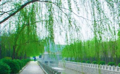 ��д������������