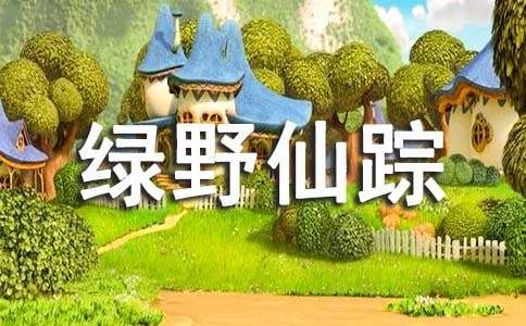 《绿野仙踪》读书心得(合集15篇)