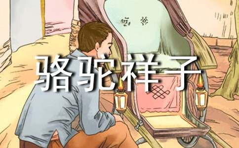 �������ӵ�Ӱ�ۺ��