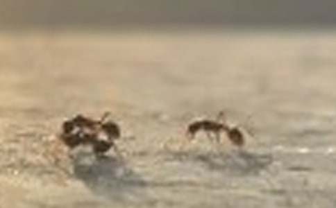 �����ռ����ļ���8ƪ