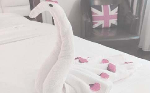 С����Ϸ����̰�����ѧ��˼����ë����������Ϸ��