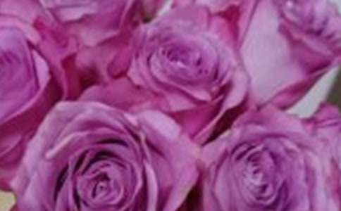 С¹��õ�廨��ѧ��˼