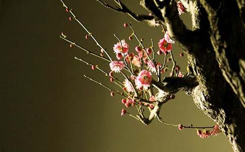 ÷�����ѧ��˼������4ƪ��