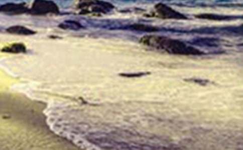 写景作文:日出美景4篇